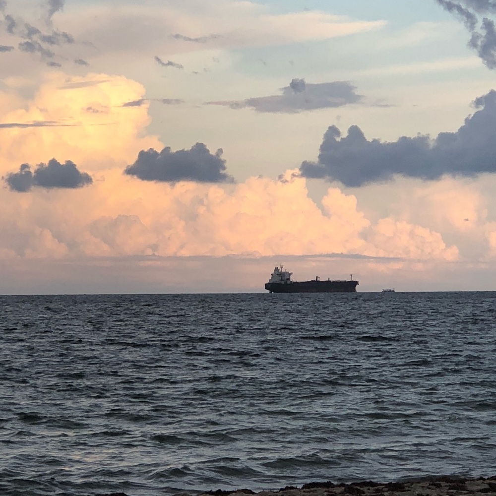 Meet your Posher, Rosa